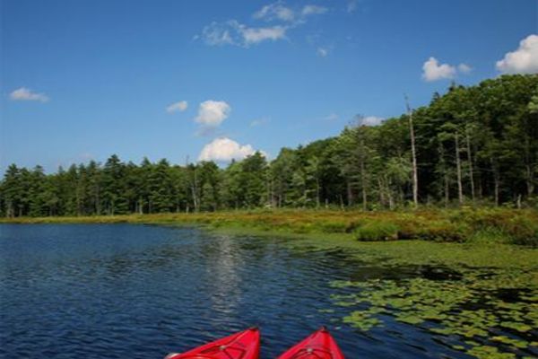 Hotel The Lodge at Woodloch (Hawley)